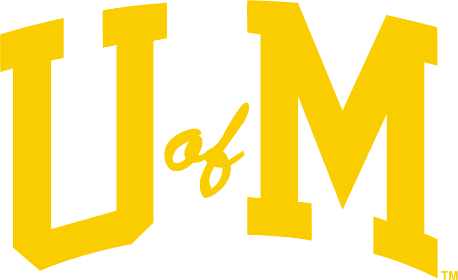 Michigan Wolverines 1994-2013 Secondary Logo diy iron on heat transfer